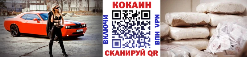 купить закладку  Дальнереченск  COCAIN FishScale 