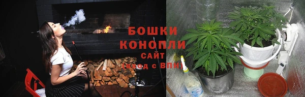 гидра Бронницы