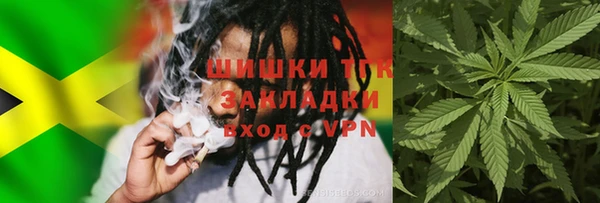 стафф Бородино