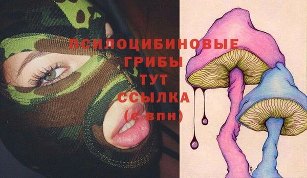 гидра Бронницы