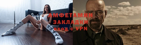 прущие грибы Каменка
