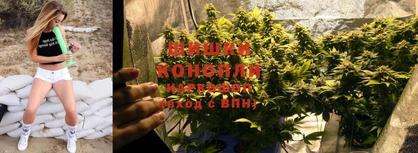 стафф Бородино