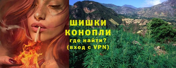 молекула духа Бугульма