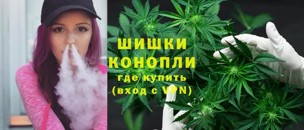 гидра Бронницы
