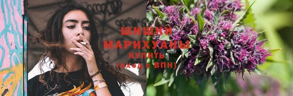 стафф Бородино