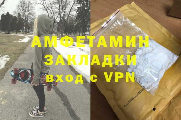 гидра Бронницы