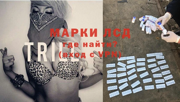 гидра Бронницы